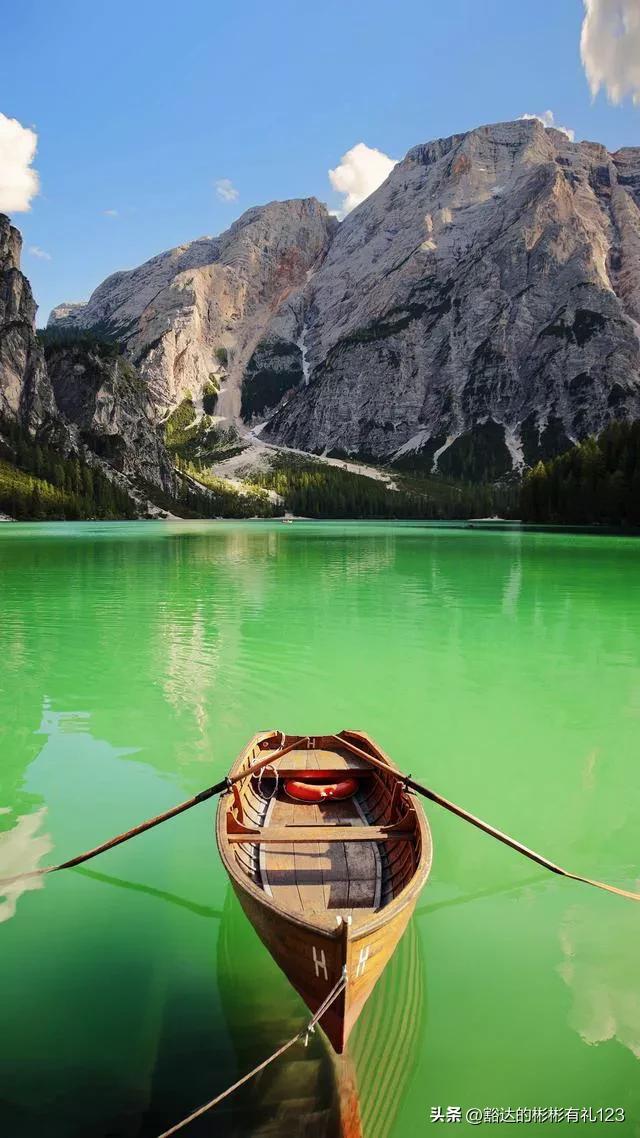 难得一见绝美一清二楚郁金香壁纸,难得一见雪景壁纸