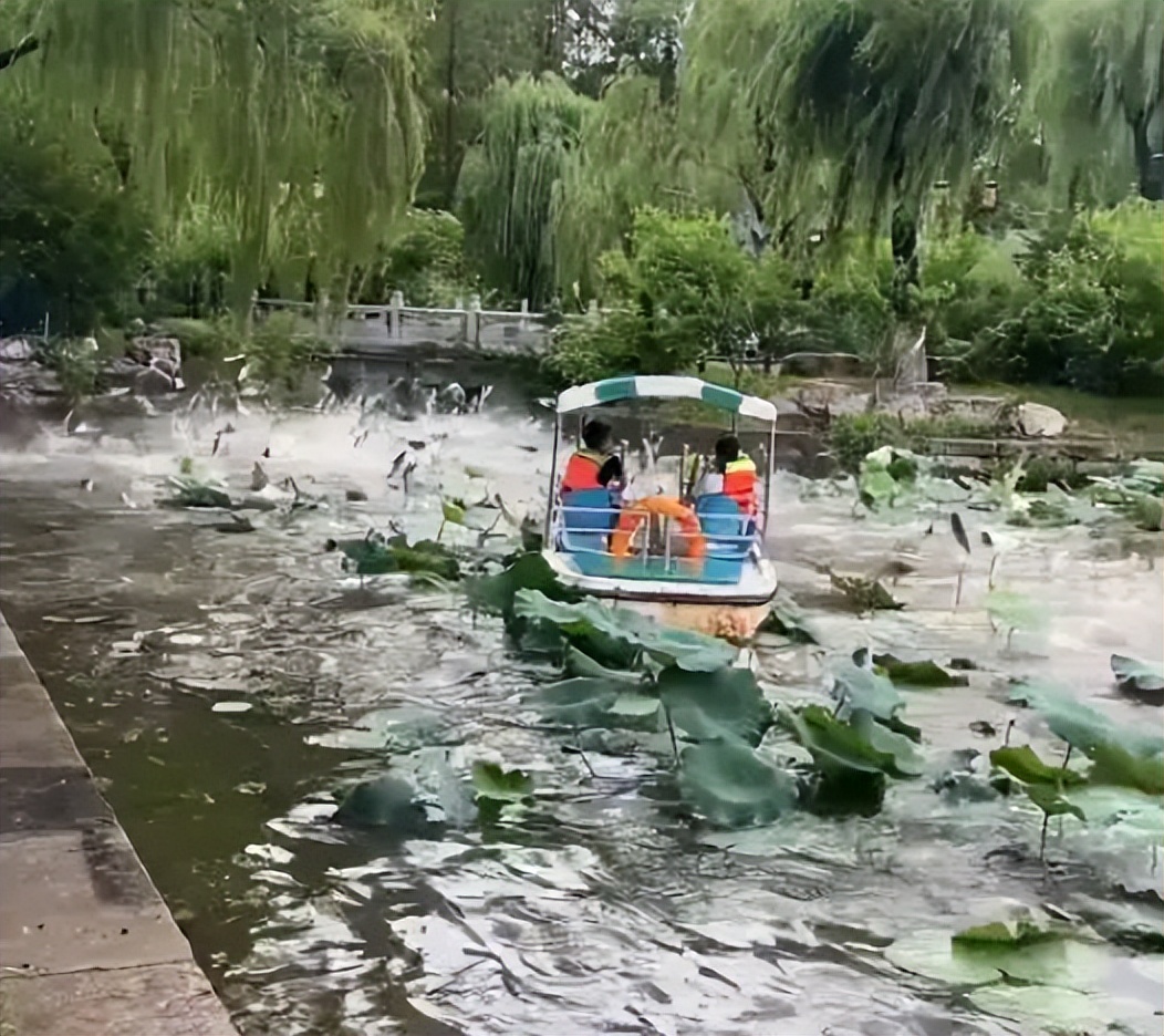 鱼跳出水面是地震前兆吗,鱼浮出水面是地震前兆吗