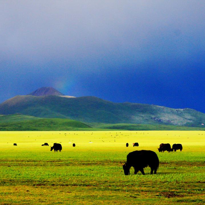 一图在手得心应手,一图在手走遍天下不用愁