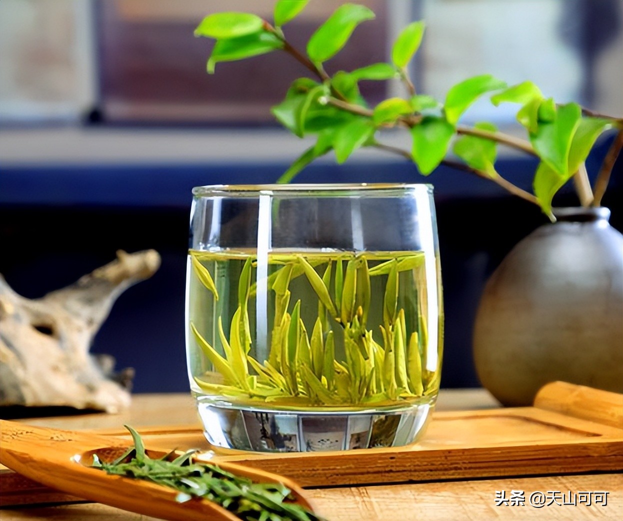 立夏喝什么茶去火最快,夏季喝什么茶既解暑又健康