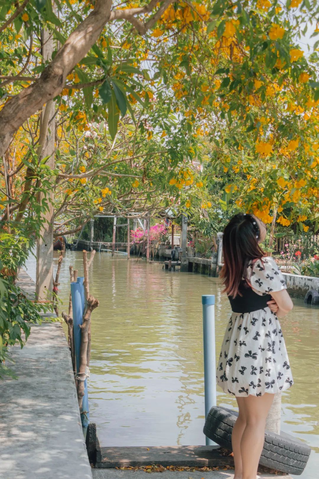 鍘绘嘲鍥芥浖璋峰拰鑺彁闆呯殑鏀荤暐,鍘绘嘲鍥界帺杞浖璋疯姯鎻愰泤