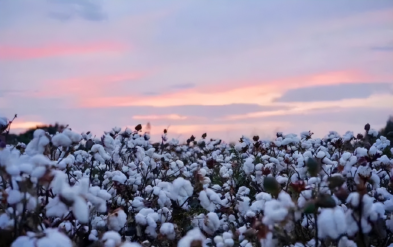 hm辱华事件造成的影响,hm辱华事件是怎么回事