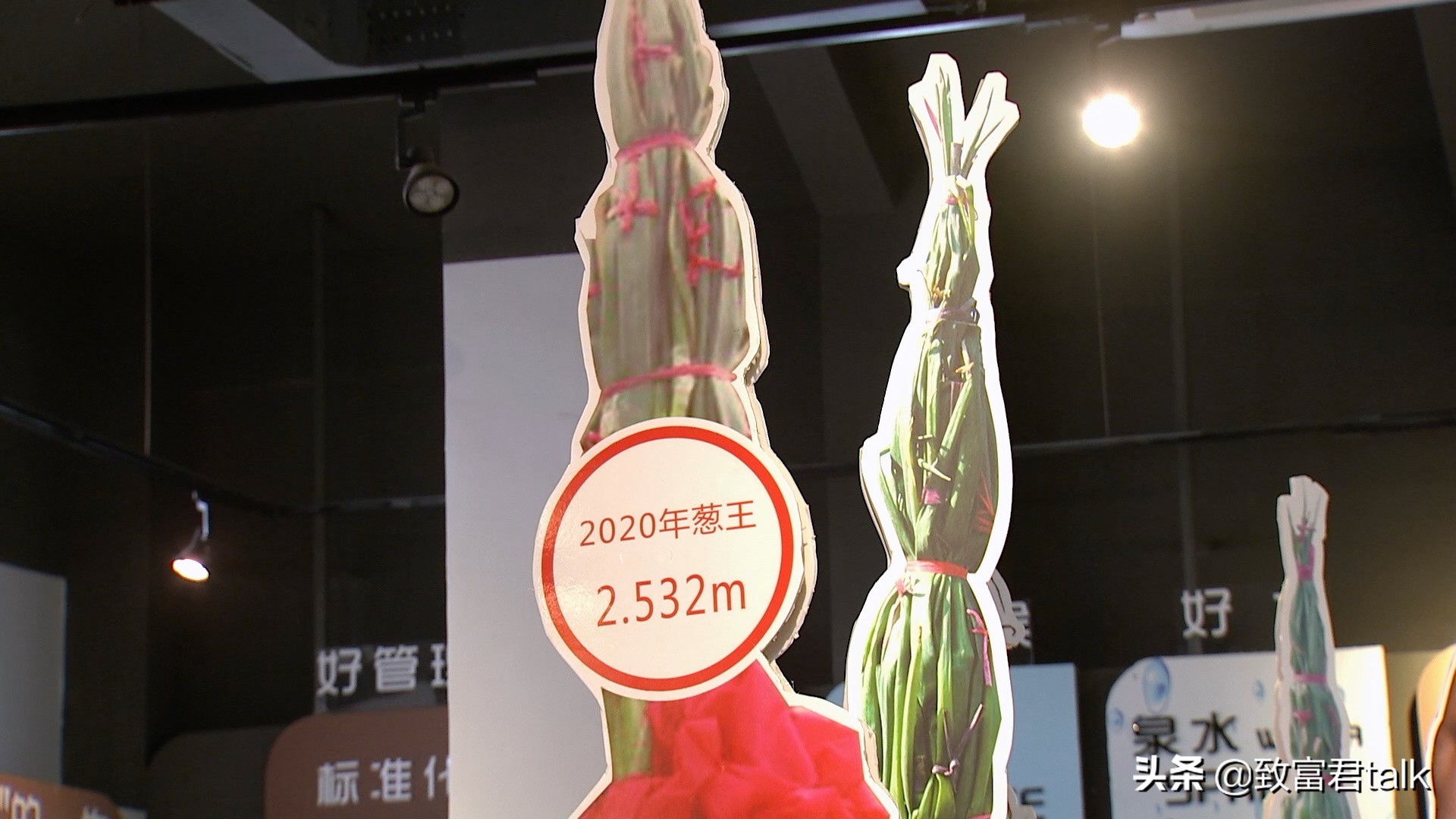 他种的大葱，比姚明高一头