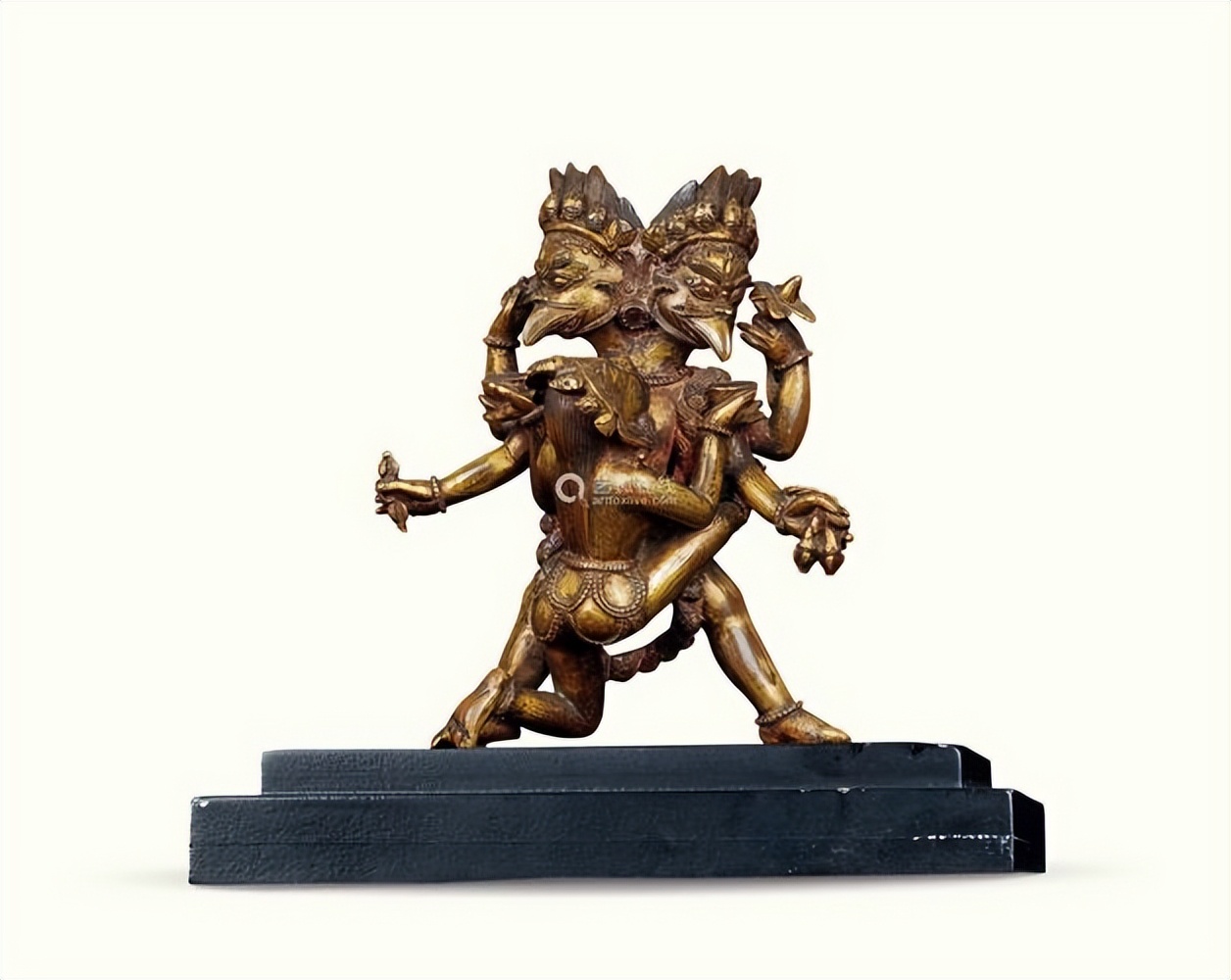 金翅鸟图像分析,金翅鸟视频大全