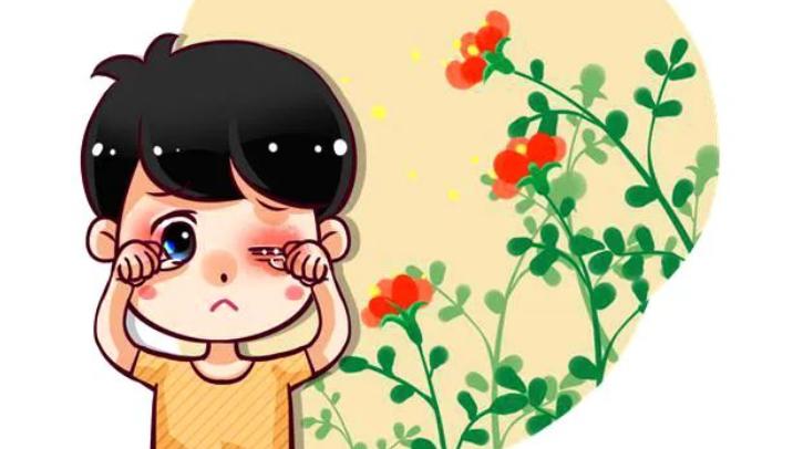 春季过敏眼睛痒中医治疗方法,春季过敏眼睛特别痒怎么预防