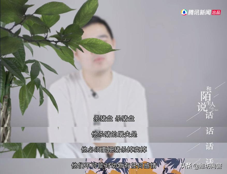 一场网恋一场空,两小时网恋被骗1919万