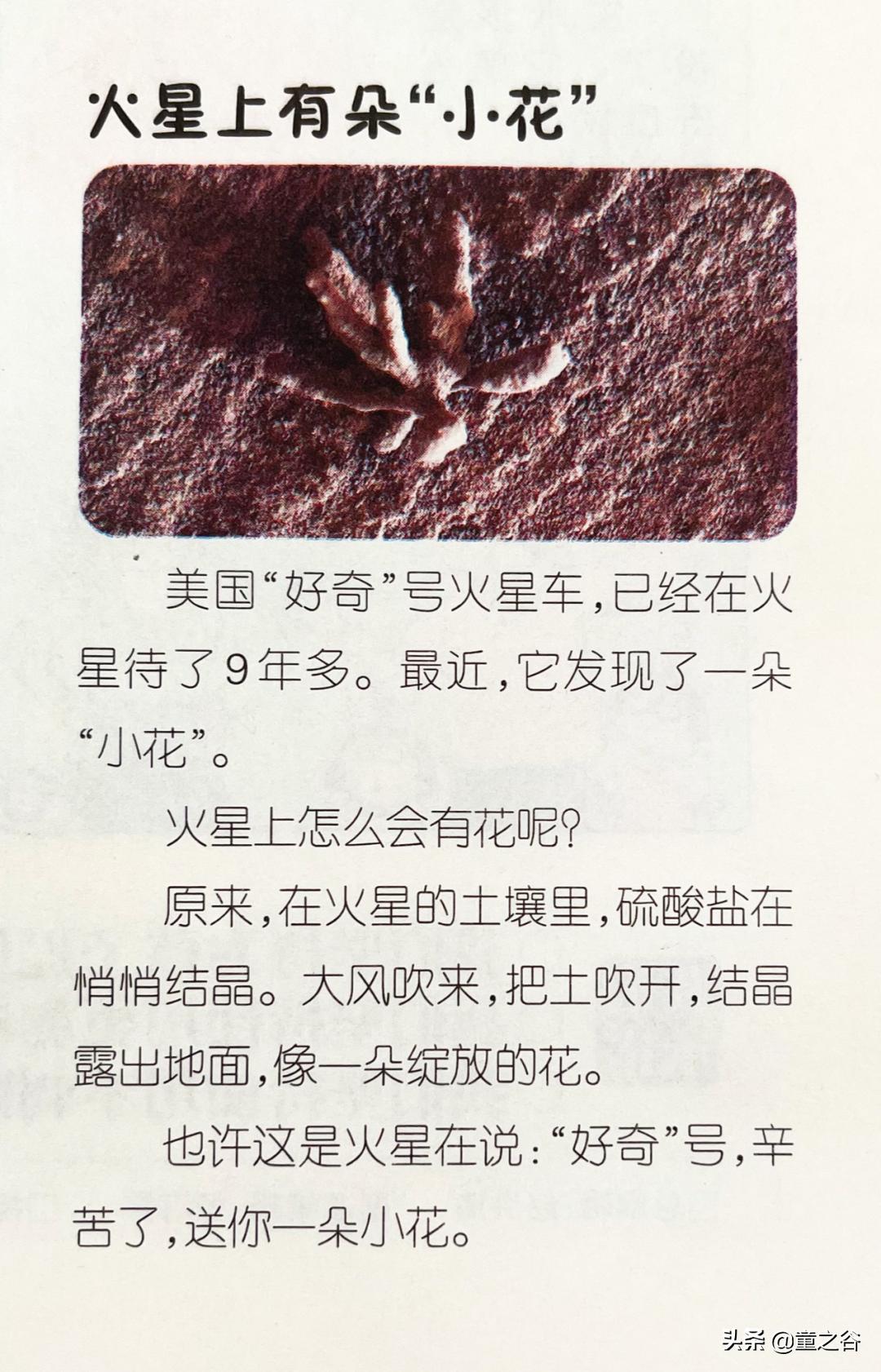 小学生需要知道的时事新闻知识,小学生记录时事新闻播报最新一期