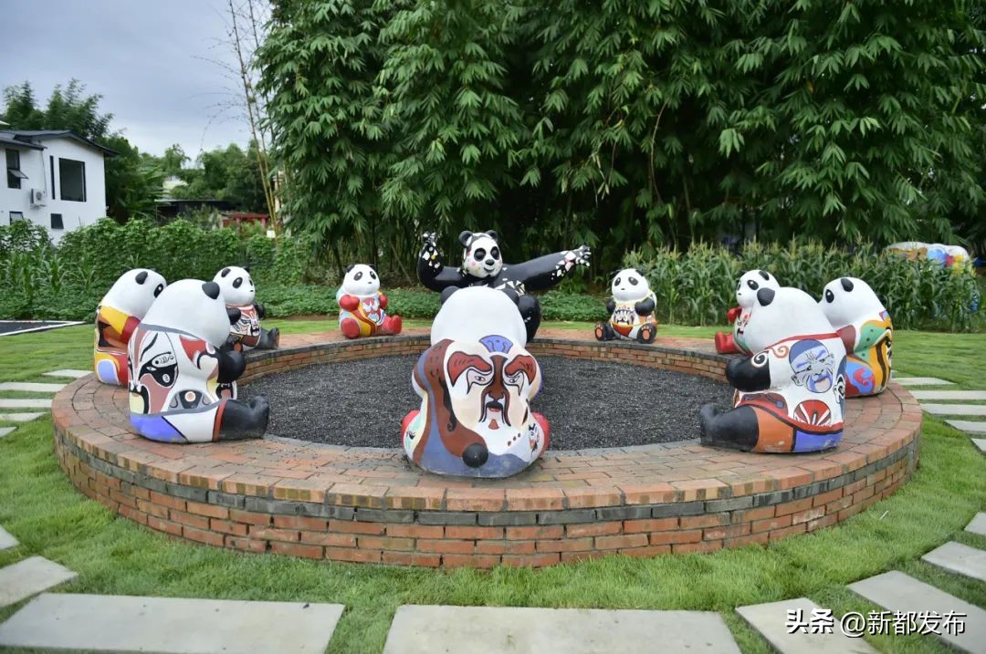 新都的发展潜力,全国百强区新都区