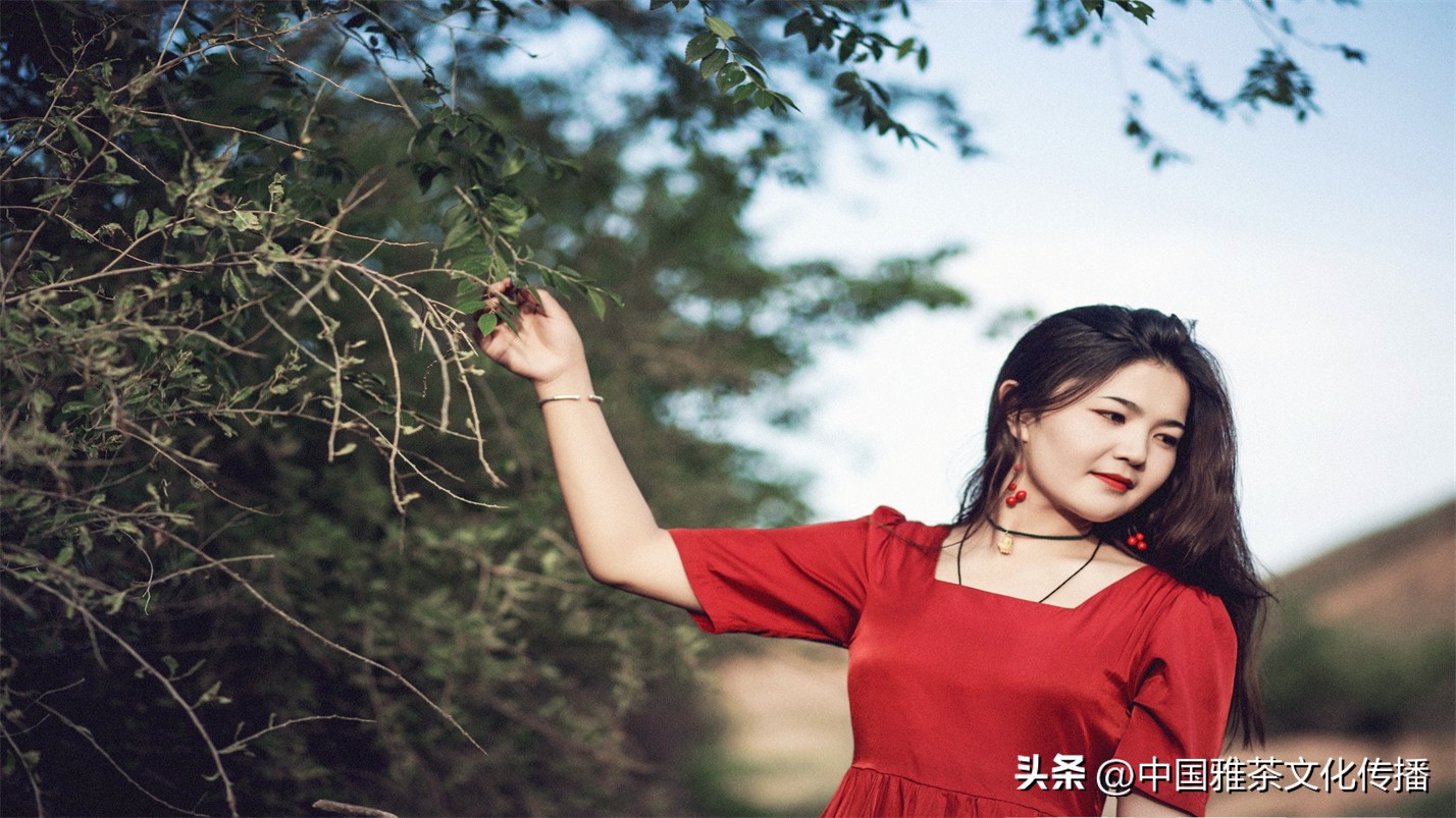 往事越千年人生弹指间意思解释,往事越千年人生弹指间的含义