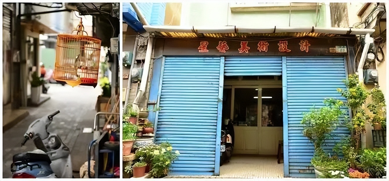 我的旅游日记2015游台湾之二,台湾游览祖国大好河山