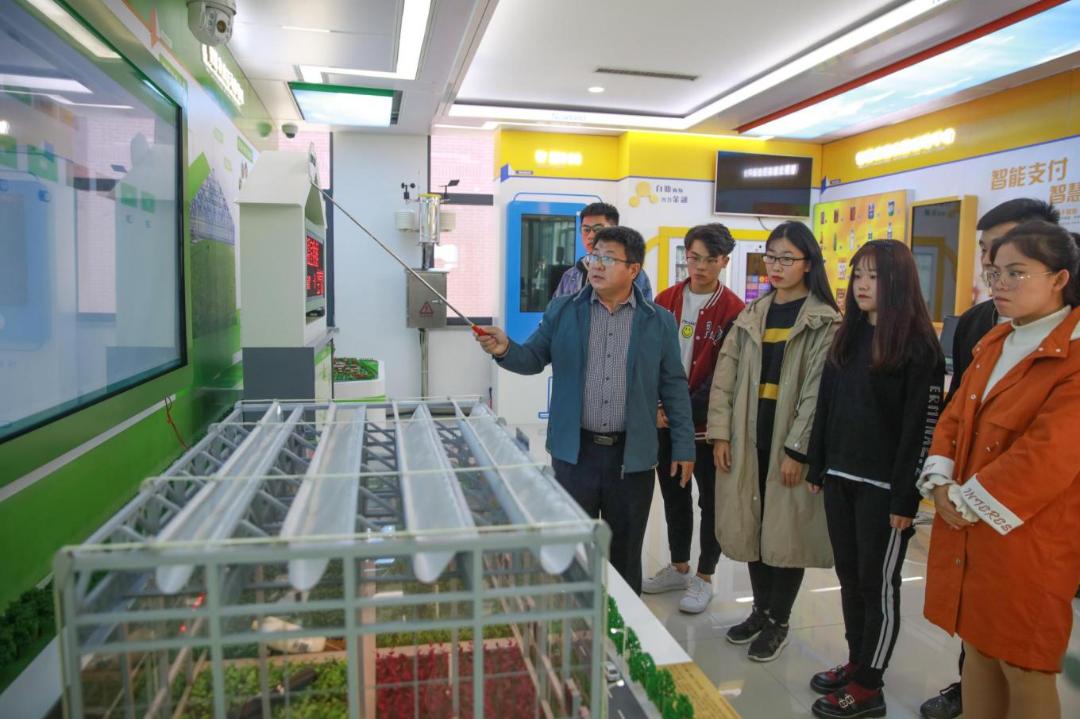 潍坊职业学院欢迎你|第五站：信息工程学院