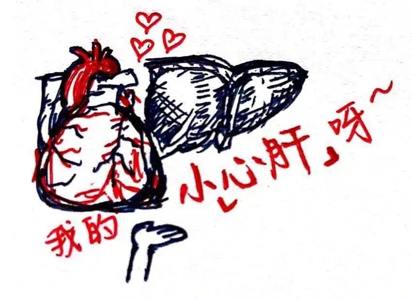 第一批断液减肥的女孩,第一批断供的人现在怎么样