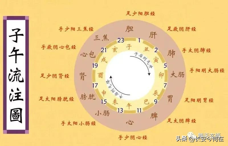 中医理论之天人合一,中医天人一体观