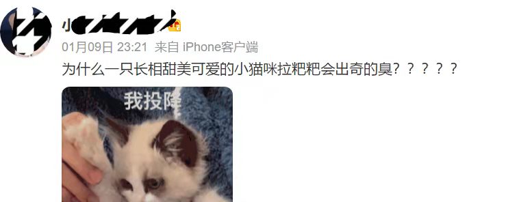 猫咪拉稀便便很臭但是精神好,为什么猫咪的便便特别臭
