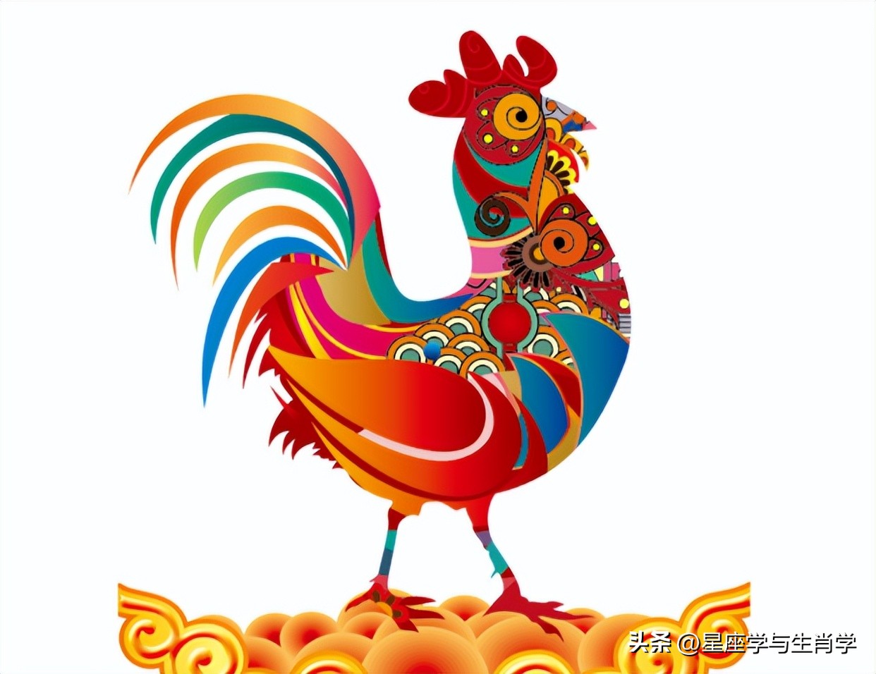 属鸡女人的优点缺点,属鸡的人最大的缺点就是重感情