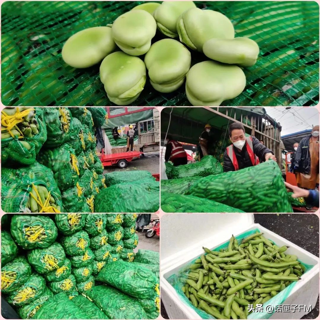 上海急招配送小哥，他又开始接单了！多地提出倡议