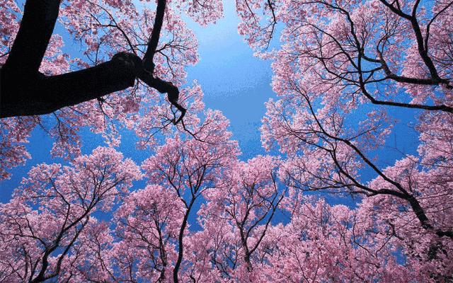 上海文峰美发美容官网,文峰美容美发都有什么项目