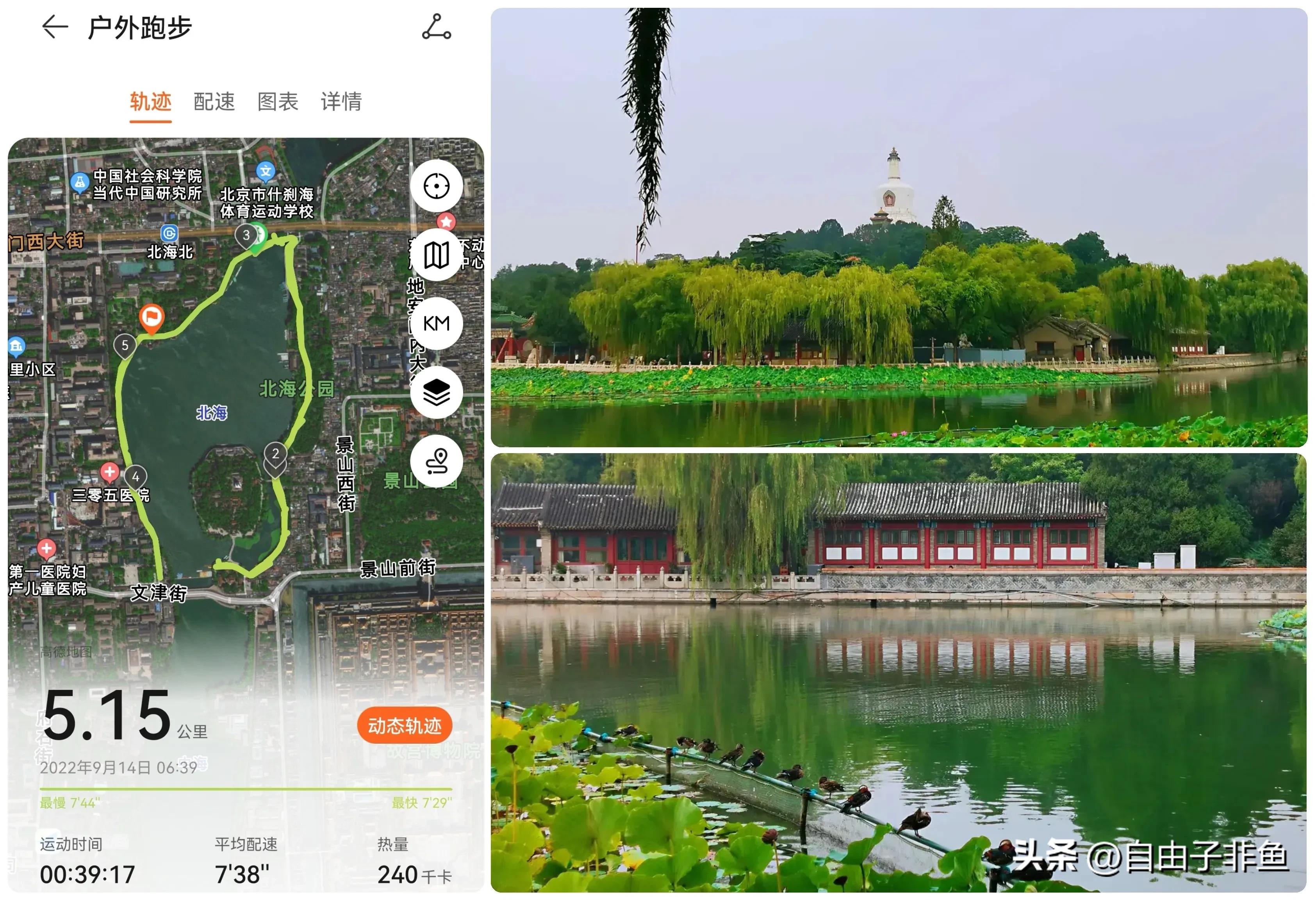 北京植物园跑步路线,北京适合跑步的地方