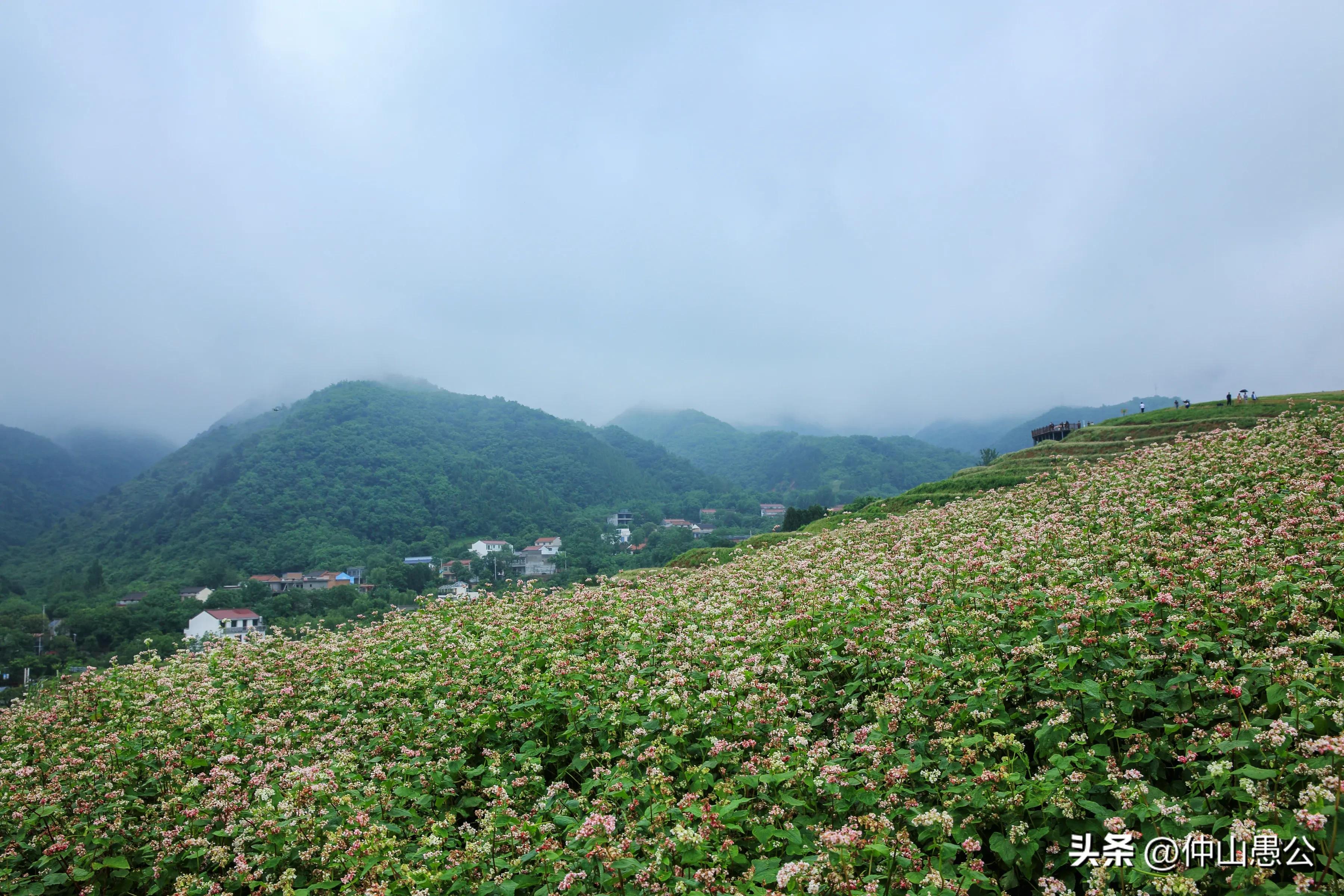 行摄川藏摄影图片,行摄诗和远方