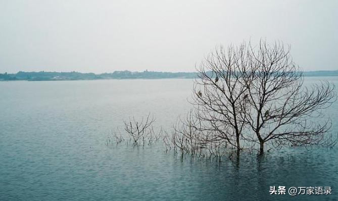 张爱玲的怨女适合20岁女孩子看吗,张爱玲怨女梗概