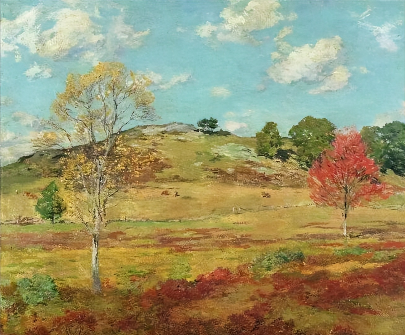 生肖对应星座性格特点,属相性格与星座性格哪个更准