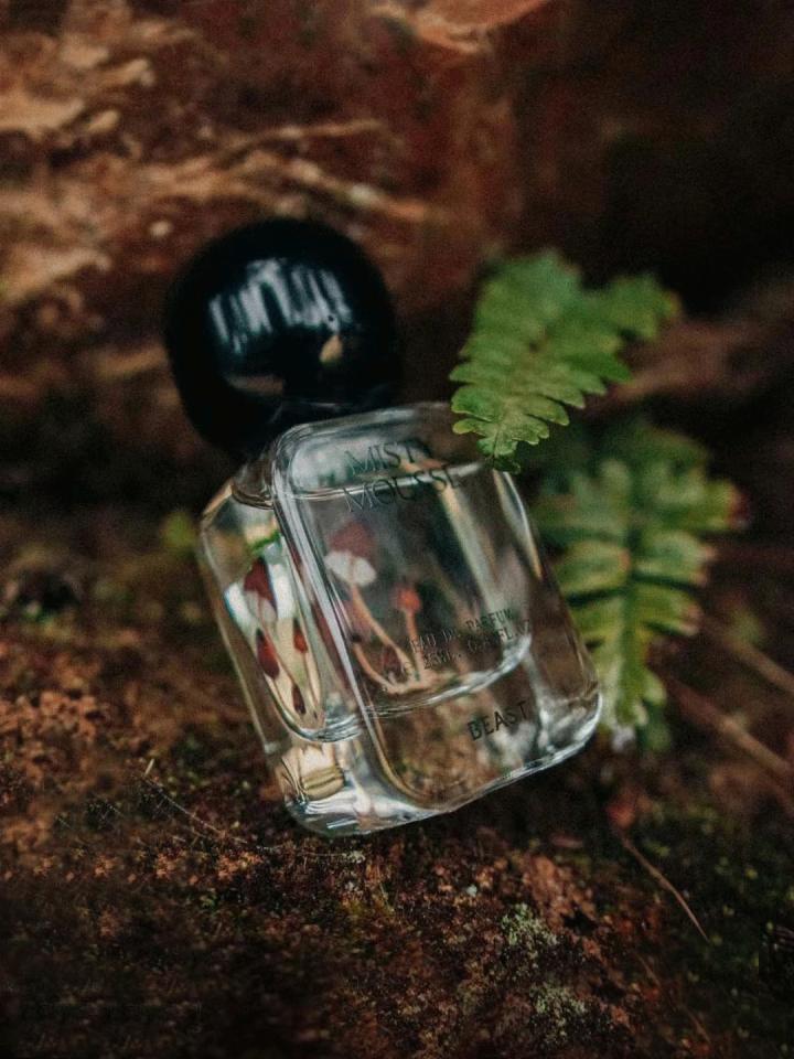 碧欧泉男士绿瓶蓝瓶,碧欧泉男士蓝钻紧致淡纹精华露