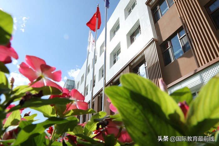 ib国际学校官网查询,ib国际学校值得去吗