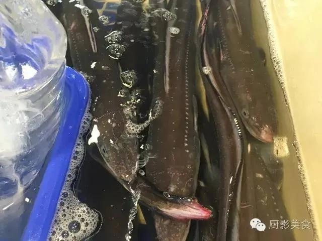 国内十大海边旅游胜地有哪些,三亚海鲜胜地