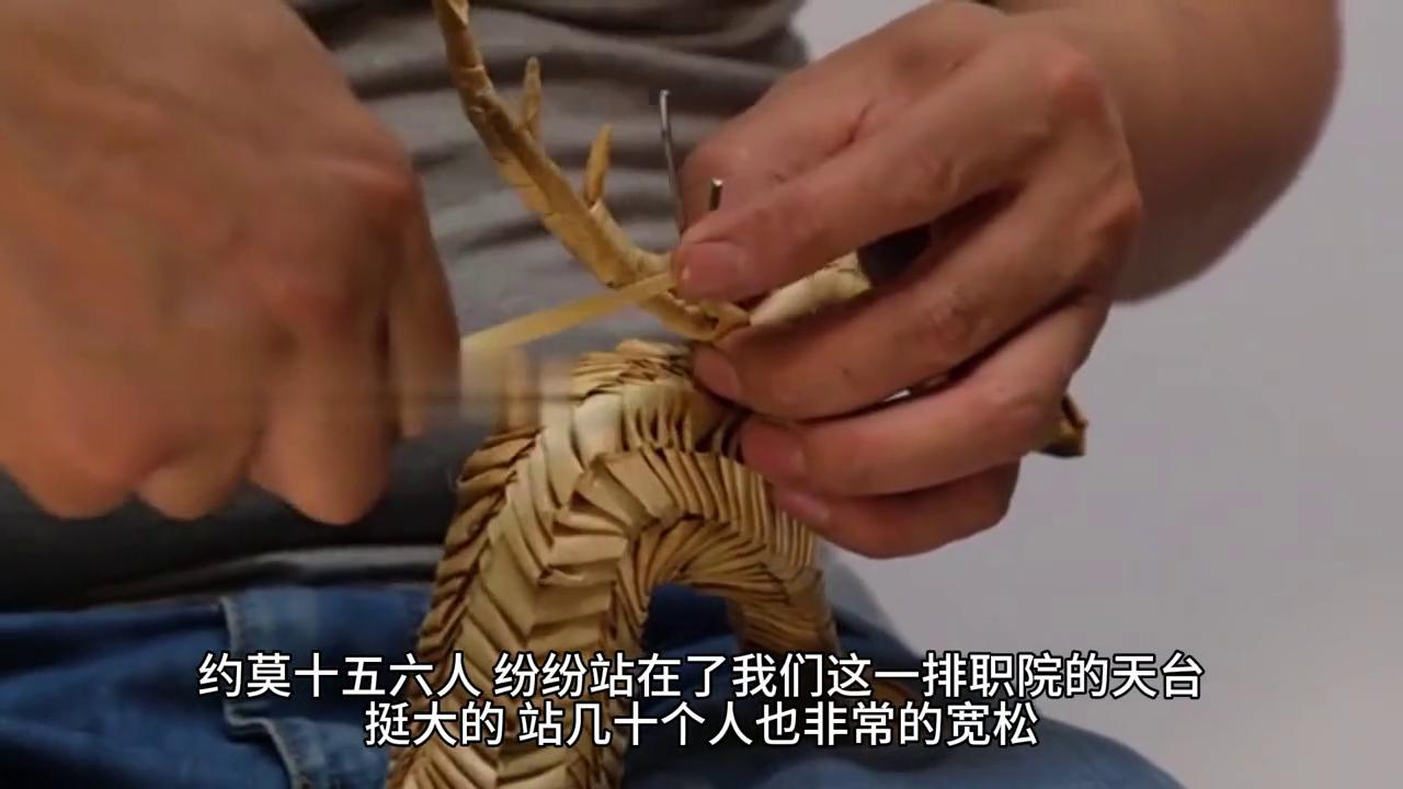 不良之年少轻狂656,不良之年少轻狂全集免费看完整版