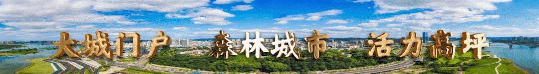 明起售票！早晨出南充，傍晚到香港🤩