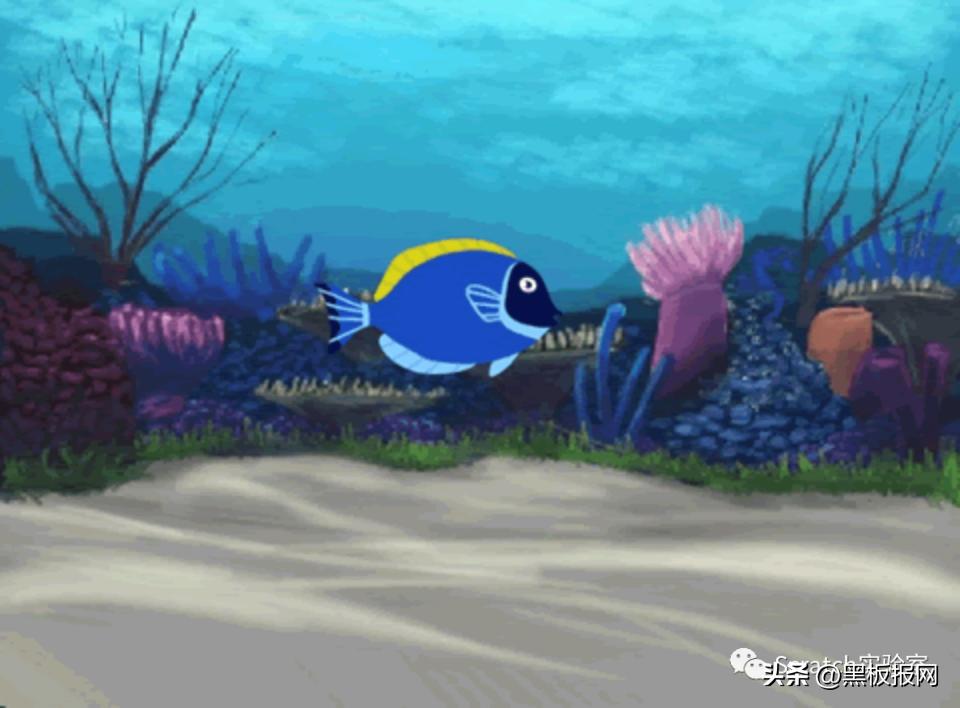 scratch编程等级考试四级题,scratch编程等级考试在哪里报名