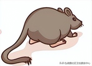 流行性出血热防治知识,传染病及其预防科普类视频