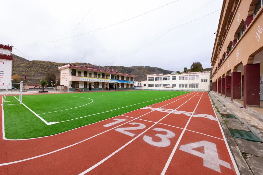 从阿尔卑斯山脉滑雪下来,从阿尔卑斯山飞下去