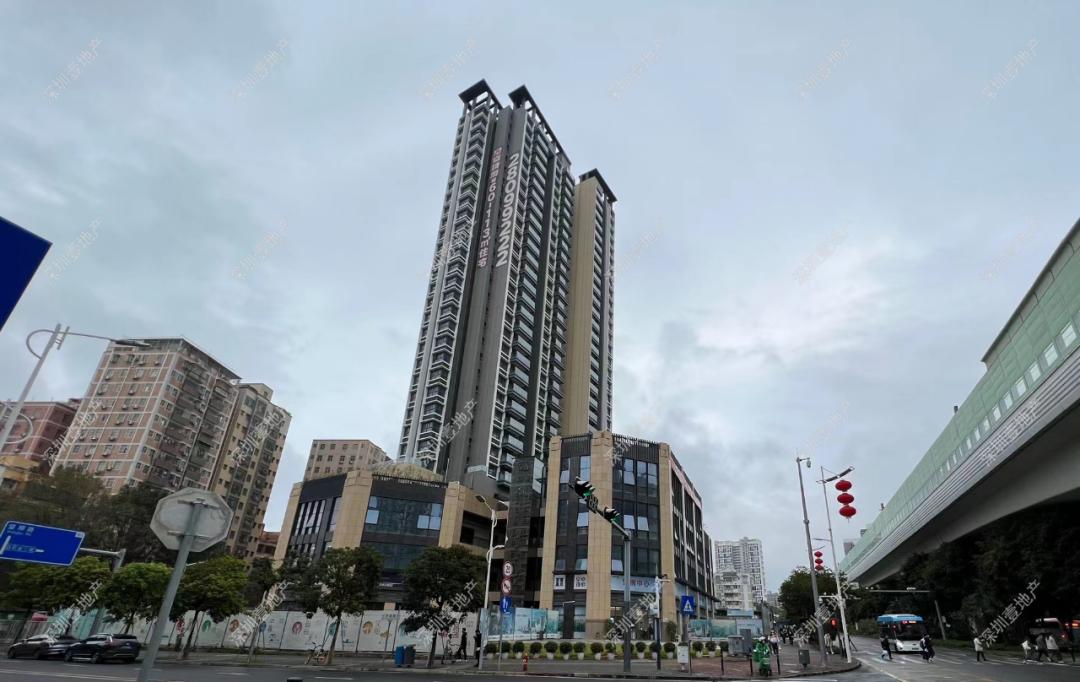 榫欏崕涔版埧鎸囧崡杩欎簺妤肩洏鍊煎緱鍏虫敞,娣卞湷榫欏崕涔版埧韪╅浄