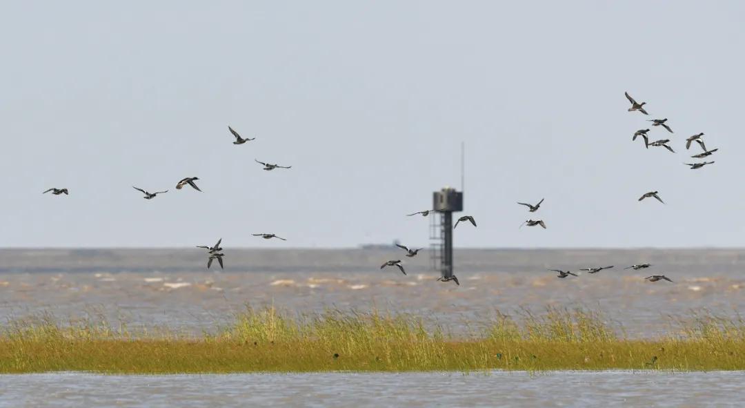浦东亲子游玩地方,浦东遛娃好去处室内