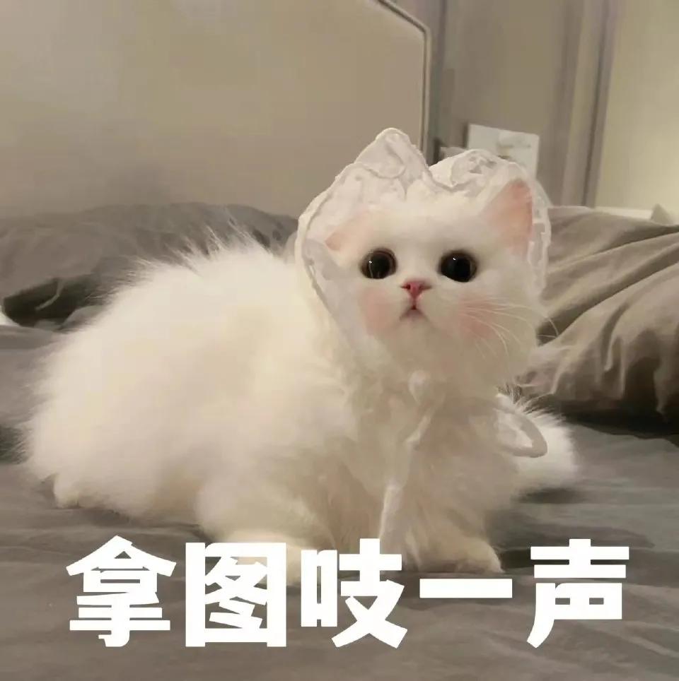 hellokitty表情包大全,hellokitty系列表情包