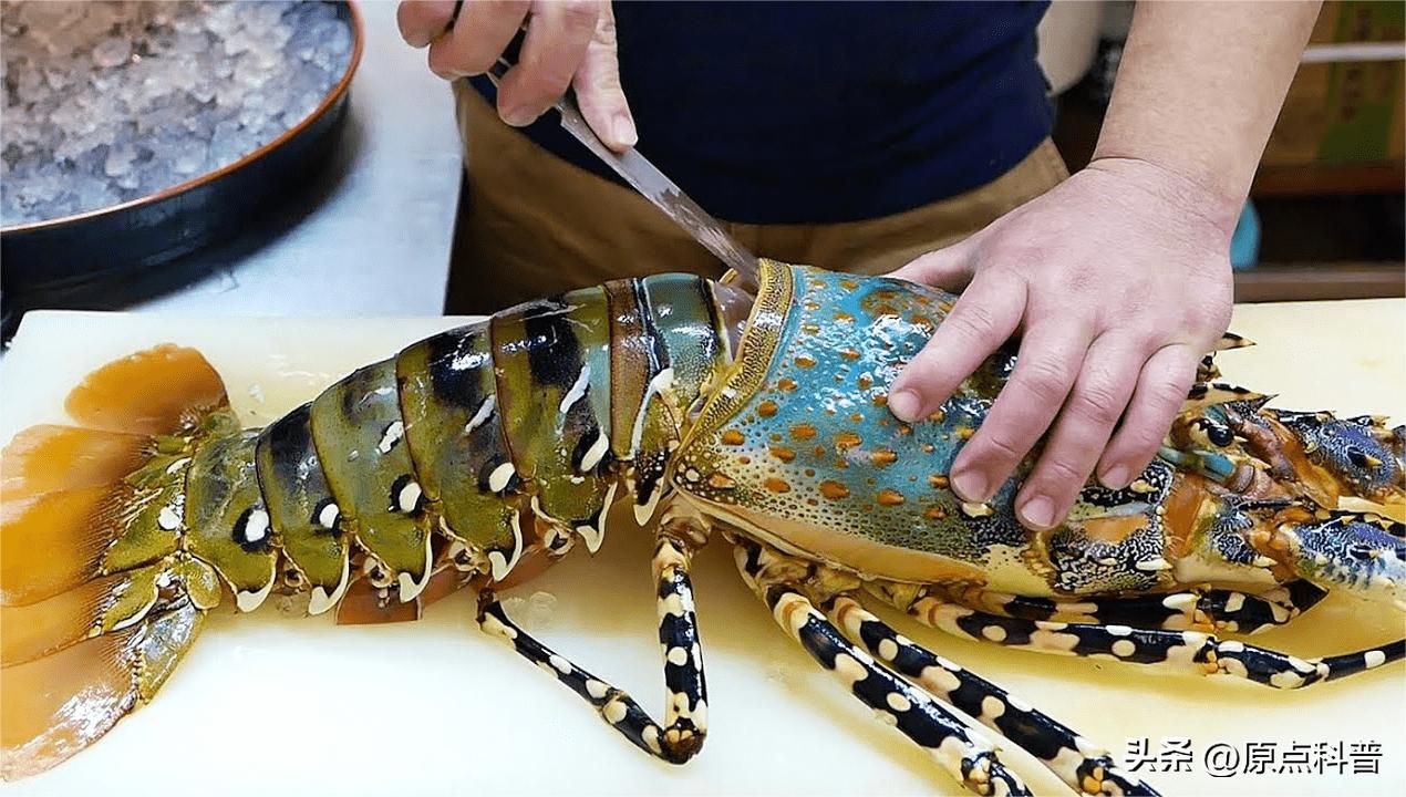 世界上最贵的海鲜十大排名,世界十大名贵海鲜