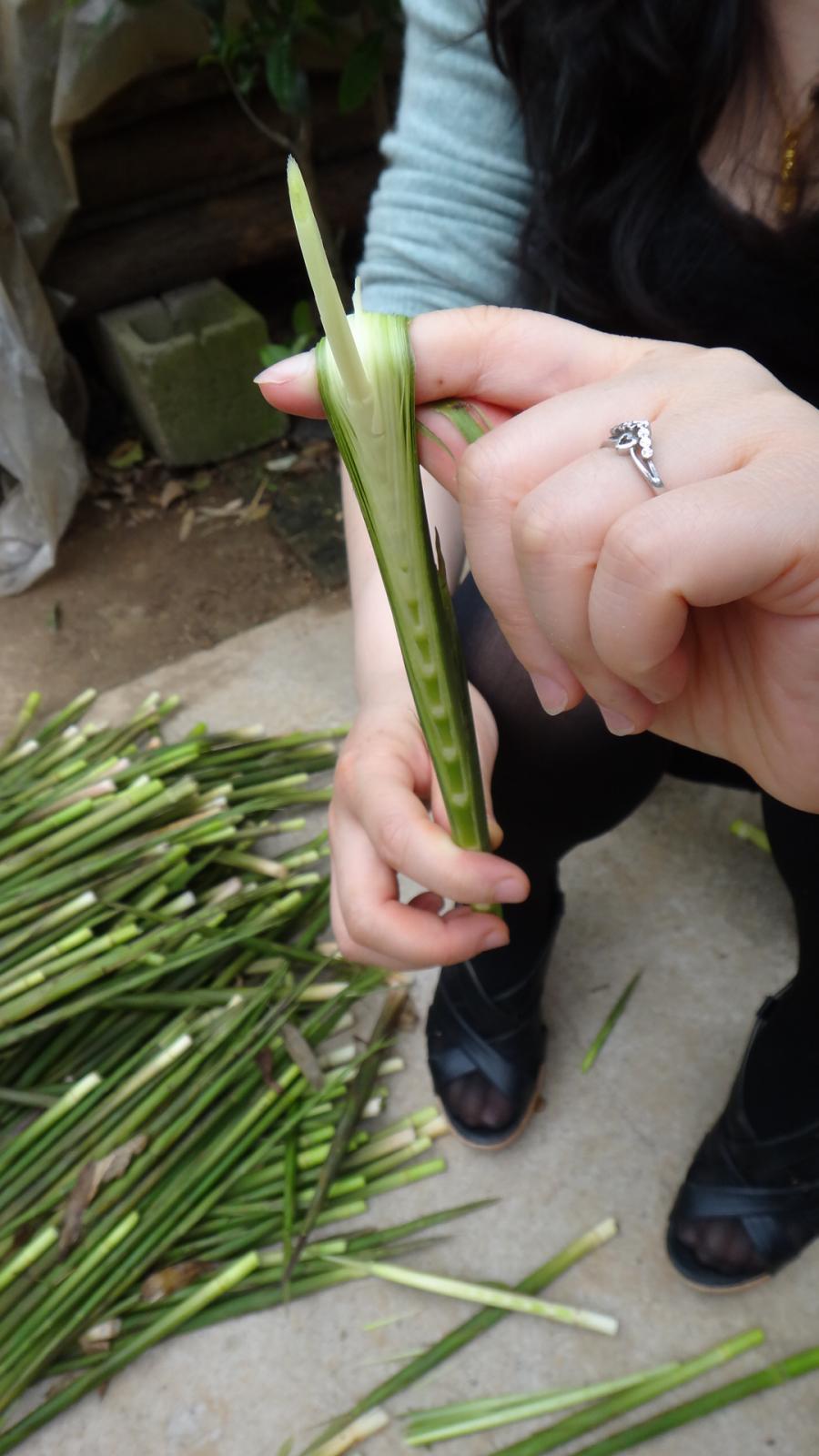 山民教剥竹笋只需3步轻松剥出笋,每日农经挖笋技巧视频