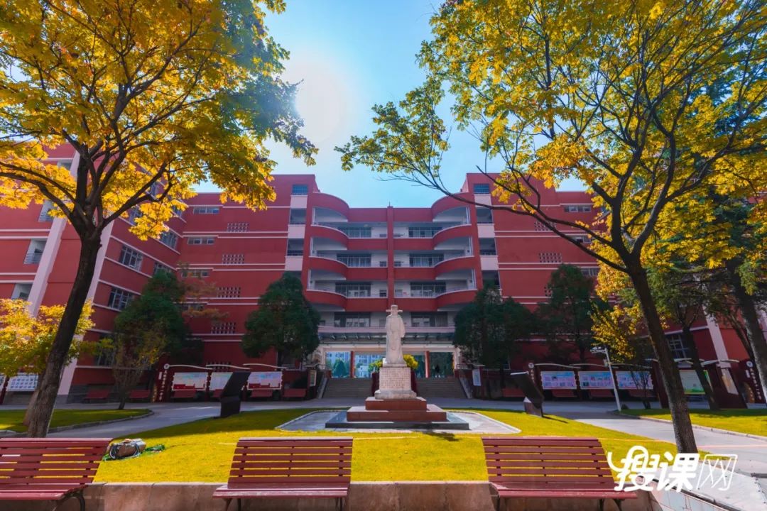 秋季限定|昆明九所学校，送你诗意校园里的一抹金