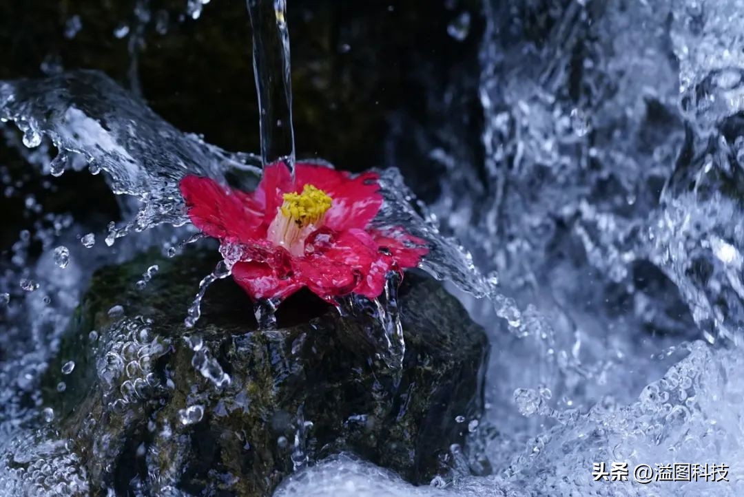 索尼微单半幅z7,索尼微单7r和7s有什么区别