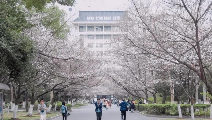 百廿风华，岁月成卷！2023，南京林业大学“新篇章”由你执笔开篇！