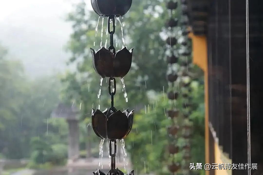 云帆诗会520期佳作选评,云帆诗会2021年第40期诗词选