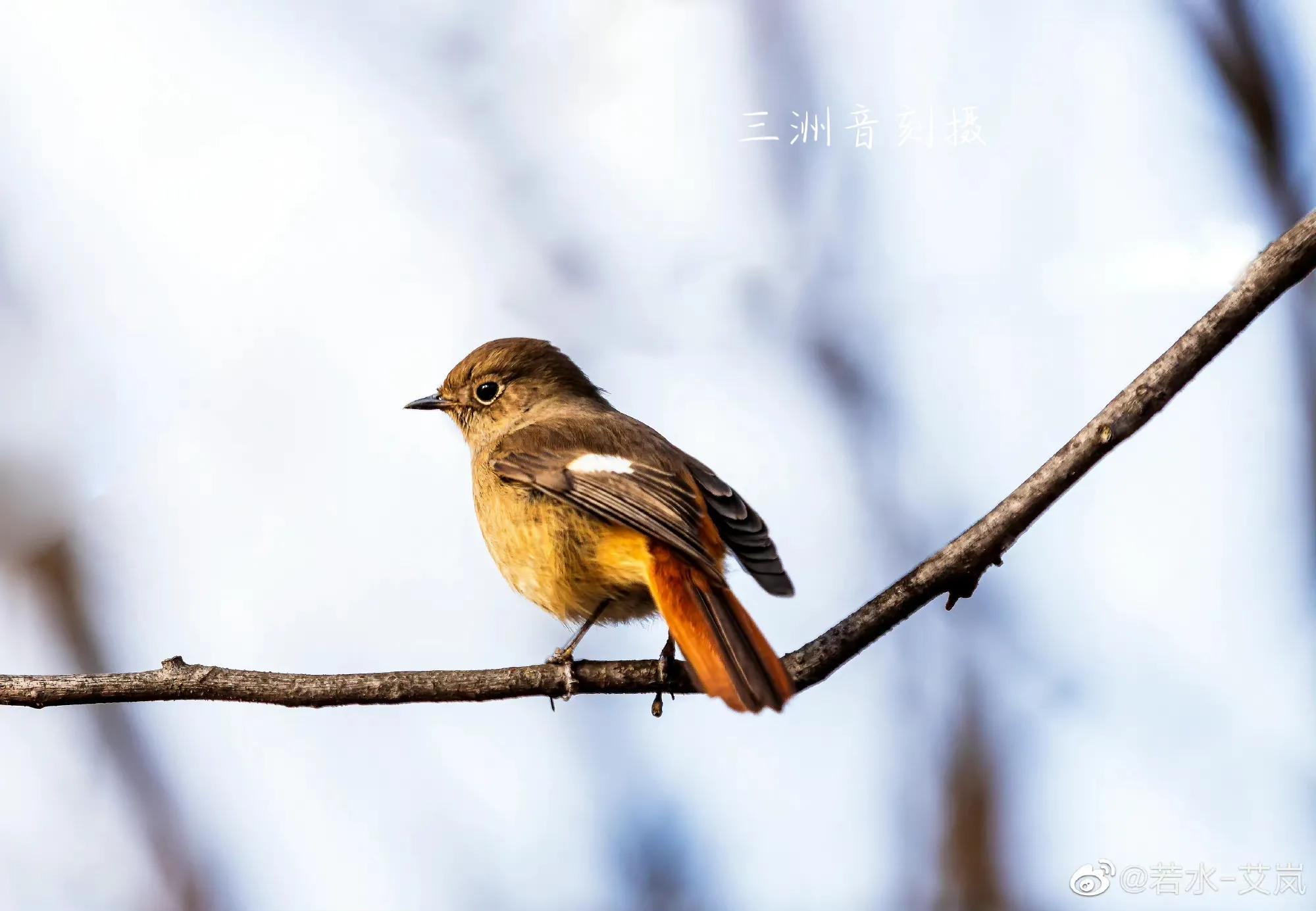 上海市嘉定区安亭国际汽车城,上海嘉定安亭国际汽车城