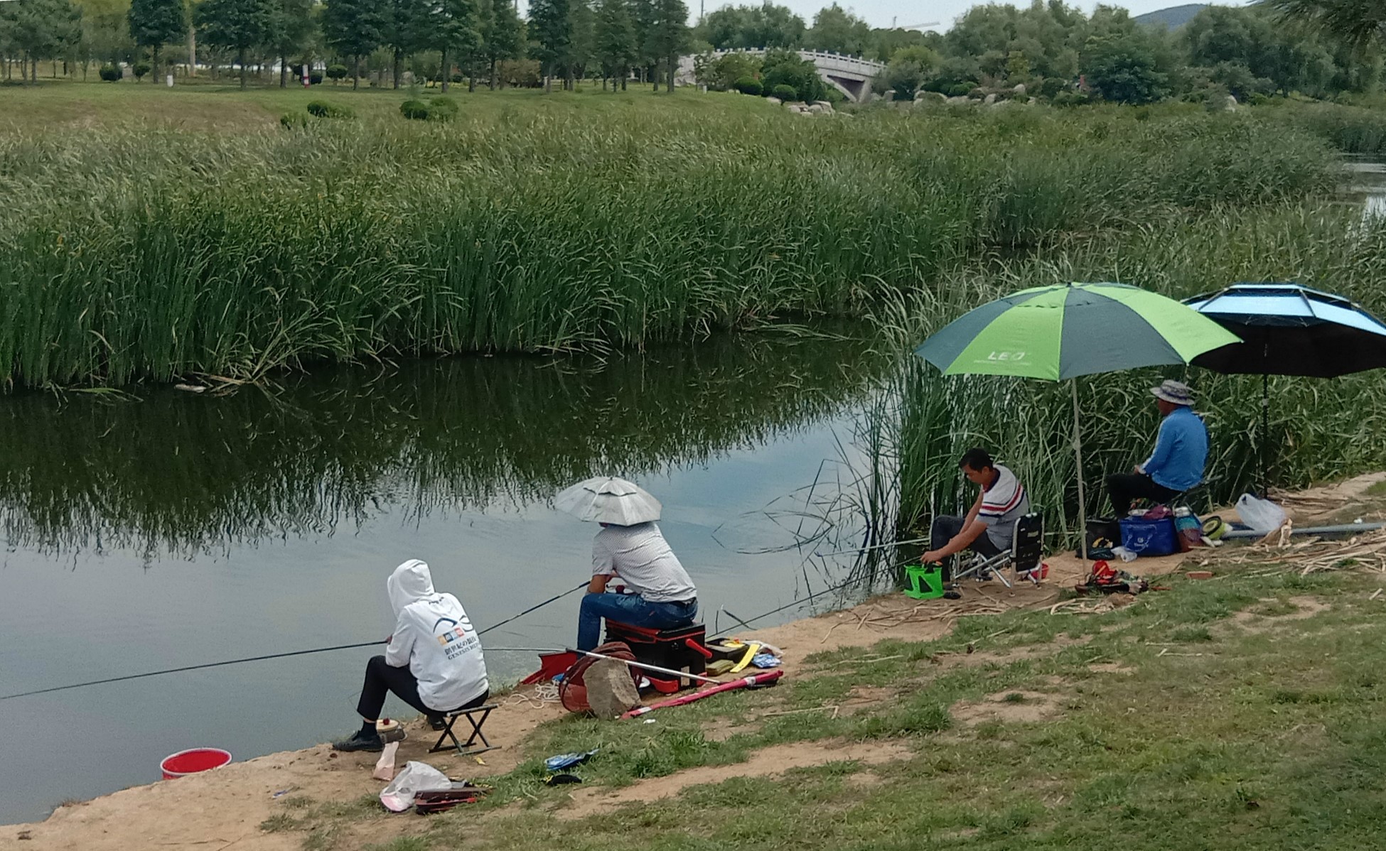 秋季的鱼,秋天的鱼为什么难钓