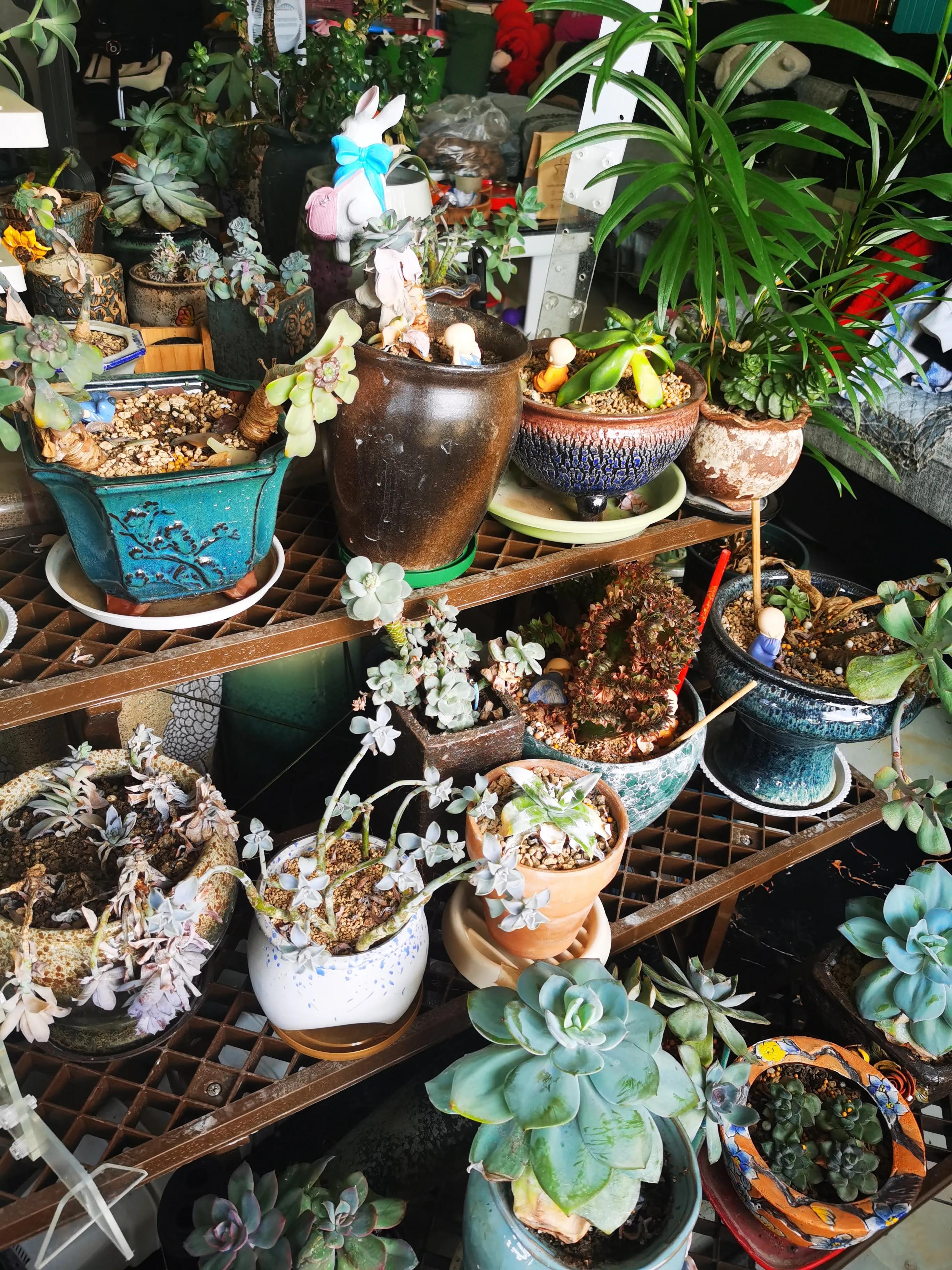 都是购物车惹的祸电影,网购是不是也打12315