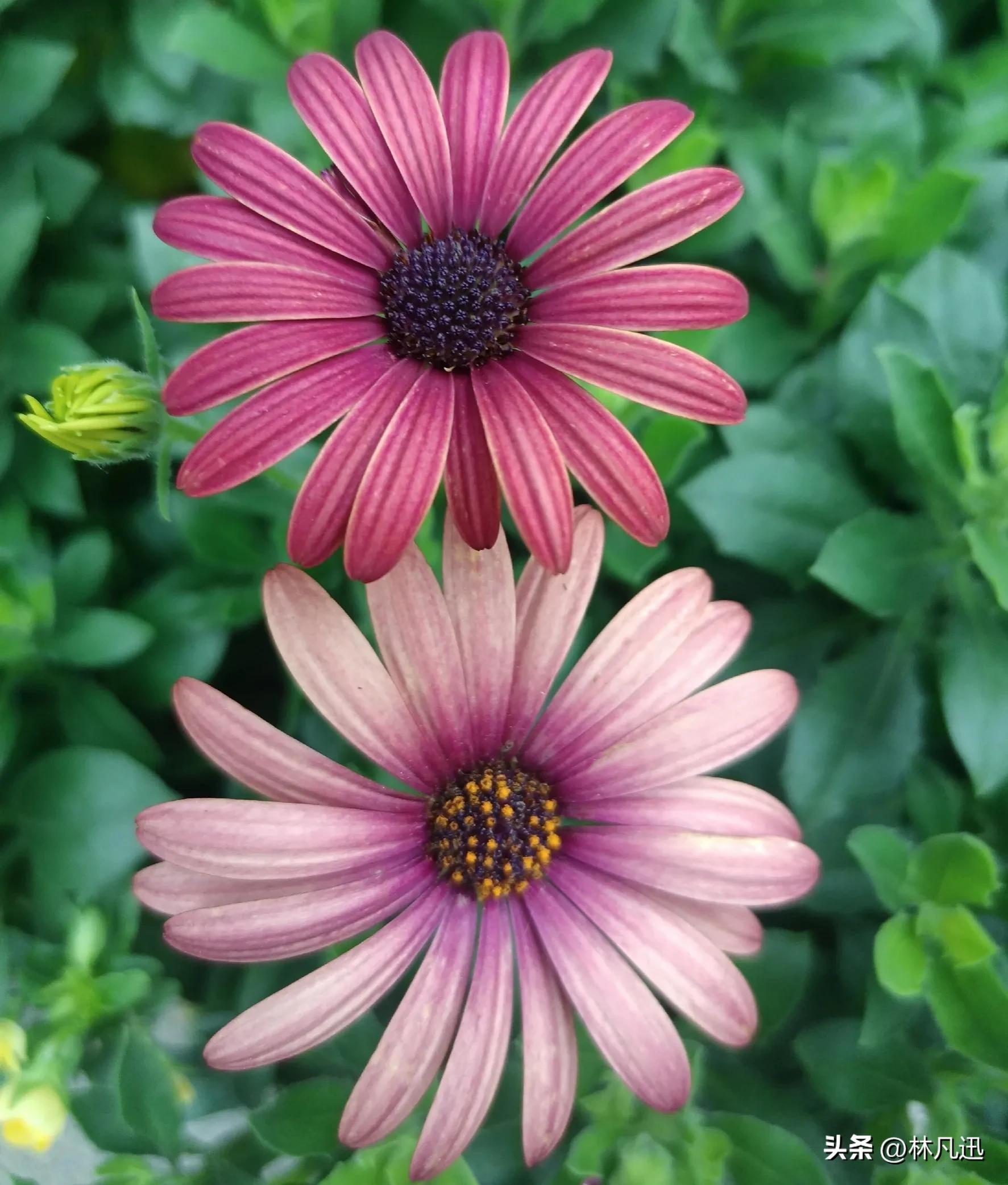 怎么投资股票长期持有,如何做到长期持股毫不恐惧