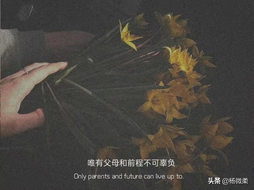 想告诉女孩子再晚也要嫁给爱情,答应我不管多晚都要嫁给爱情