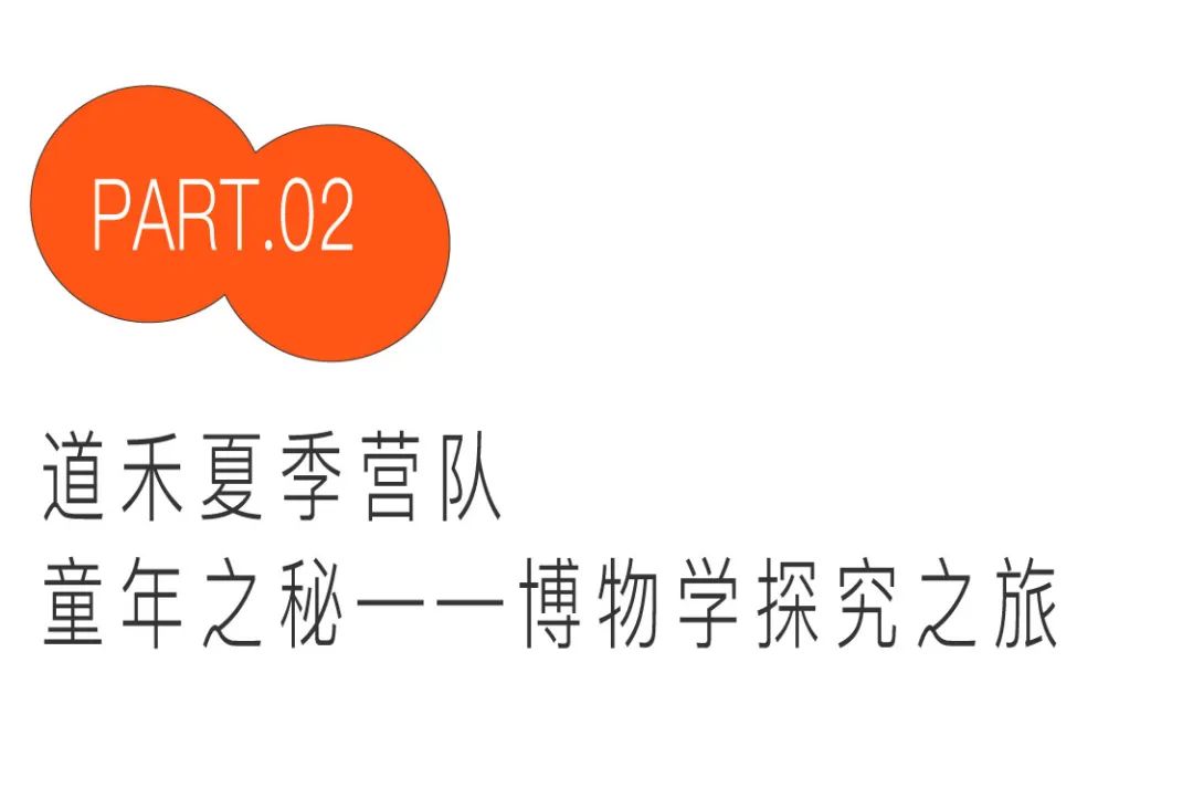 2023阿那亚系列夏令营|来海边过暑假，N多主题，自在探索，成长一夏
