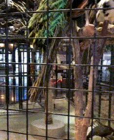 神回复：把大众车标扣下来清灰，里面藏了一个圆球，这是个啥？