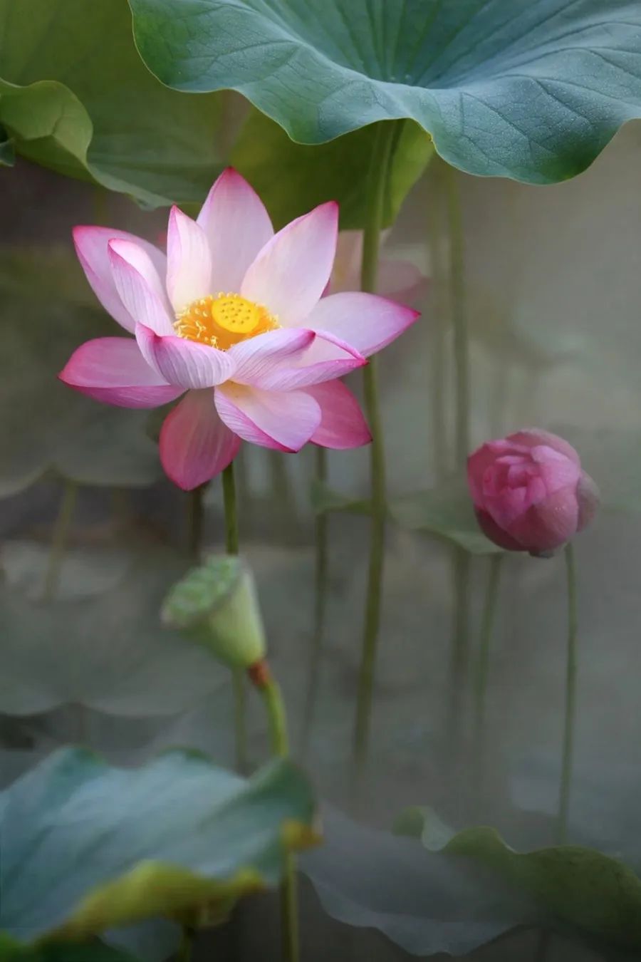 倾情荐读：时间的名字